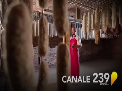 Canale 239