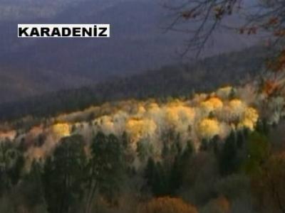 Karadeniz TV