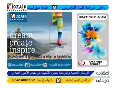 Mozaik TV (arabic)